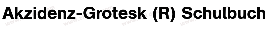 Akzidenz-Grotesk (R) Schulbuch 2 Regular字体转换